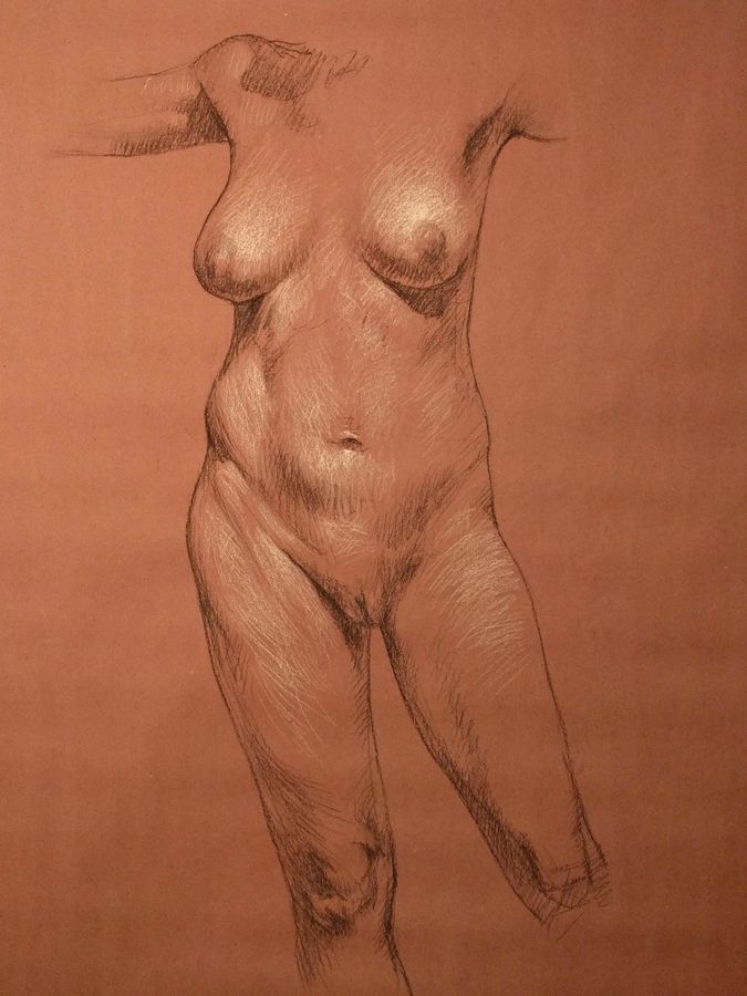 Orange #7, 36 x 48in/92 x 122cm, charcoal drawing at AlexDrawsLife.com