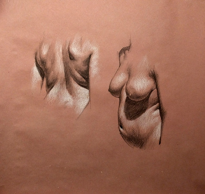Stephanie #1, 36 x 44in/92 x 112cm, charcoal drawing at AlexDrawsLife.com