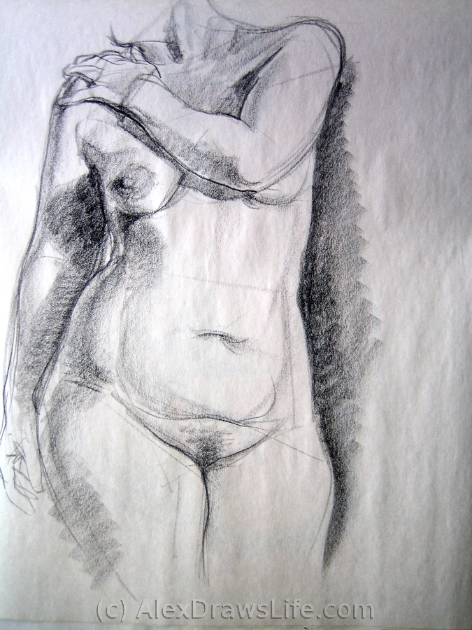 torso, 24 x 36in/61 x 92cm, charcoal drawing at AlexDrawsLife.com