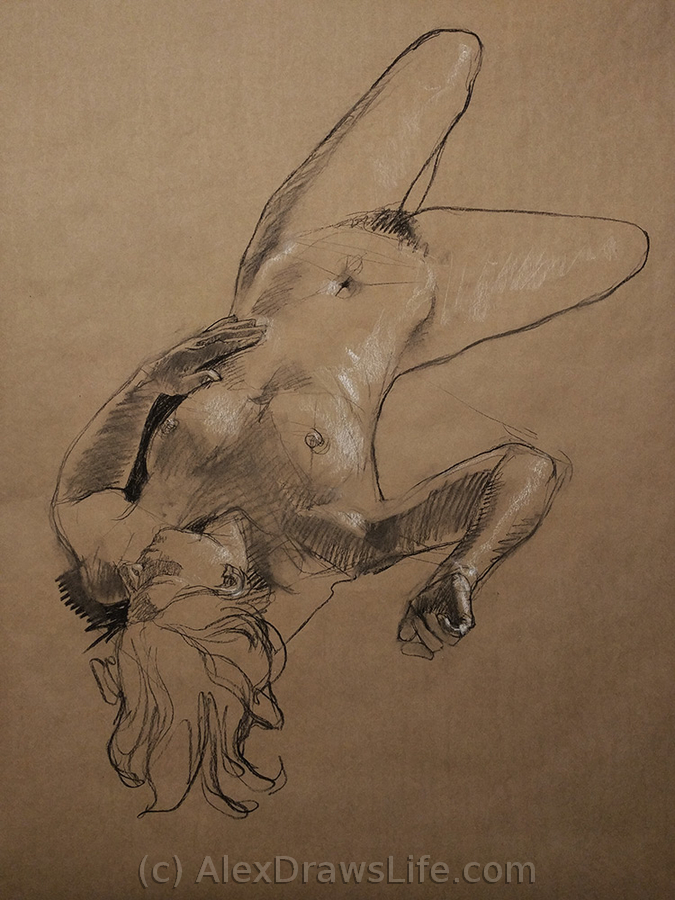 spread, 33 x 45in/84 x 115cm, charcoal drawing at AlexDrawsLife.com