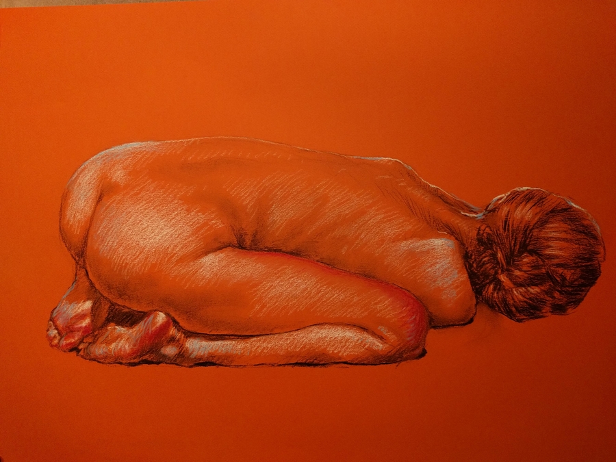 Orange, sleeping, 25.5 x 19.5in/65 x 50cm, charcoal drawing at AlexDrawsLife.com