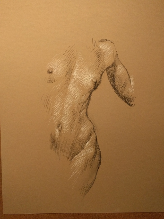 Velda, stretching, 19.5 x 25.5in/50 x 65cm, charcoal drawing at AlexDrawsLife.com